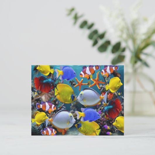 熱帯魚魚釣り ポストカード (スタンド正面)
