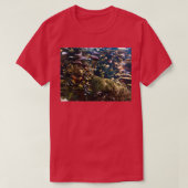 熱帯魚2 Tシャツ (デザイン正面)
