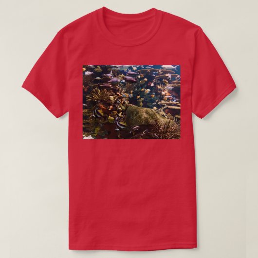 熱帯魚2 Tシャツ (デザイン正面)