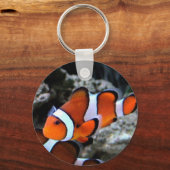 熱帯魚 キーホルダー (正面)