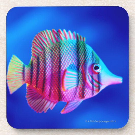 熱帯魚 コースター (正面)