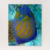 熱帯魚 ジグソーパズル (縦)