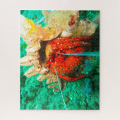 熱帯魚 ジグソーパズル (縦)