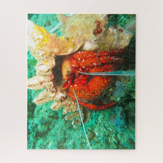 熱帯魚 ジグソーパズル (縦)