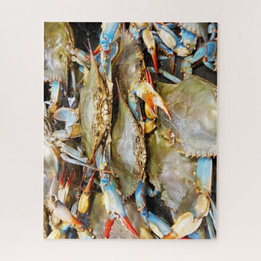 熱帯魚 ジグソーパズル (縦)