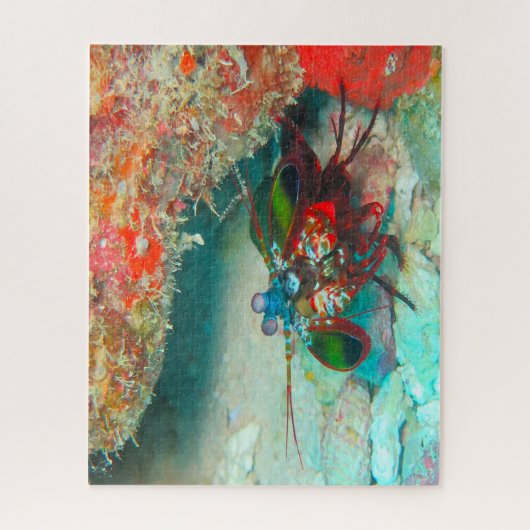 熱帯魚 ジグソーパズル (縦)