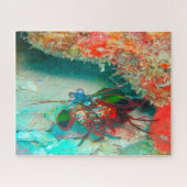 熱帯魚 ジグソーパズル (横)