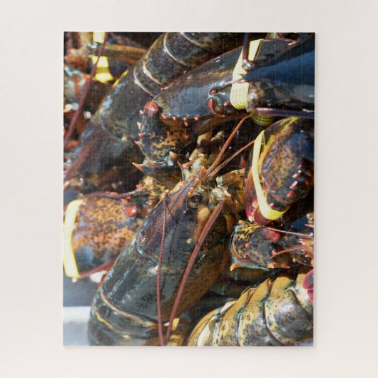 熱帯魚 ジグソーパズル (縦)