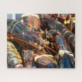 熱帯魚 ジグソーパズル (横)