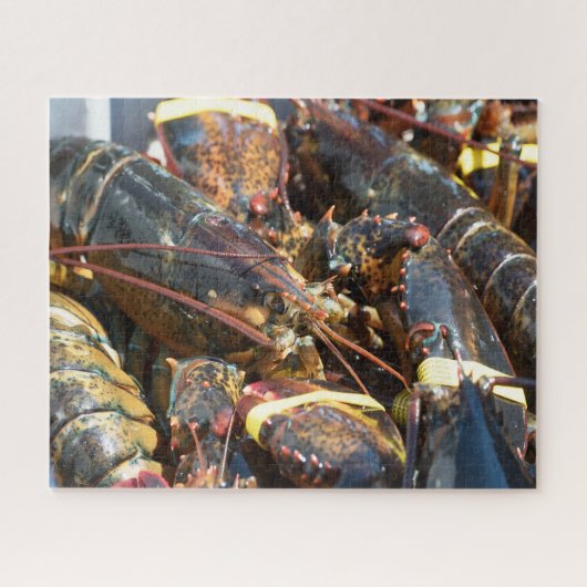 熱帯魚 ジグソーパズル (横)