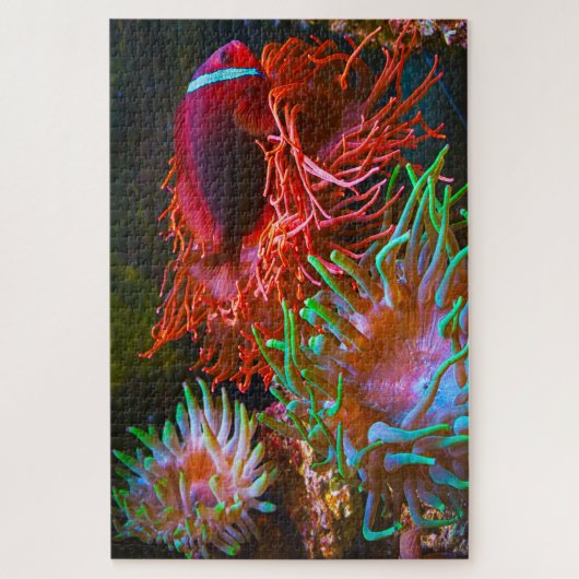 熱帯魚 ジグソーパズル (縦)