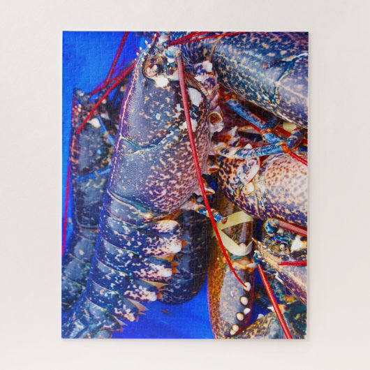 熱帯魚 ジグソーパズル (縦)