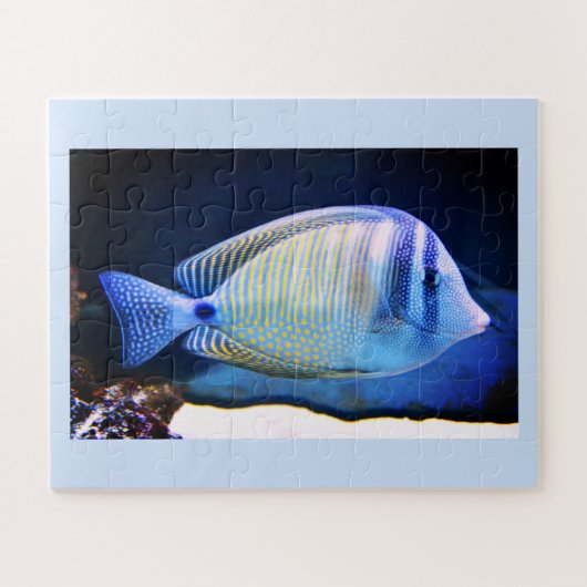 熱帯魚 ジグソーパズル (横)