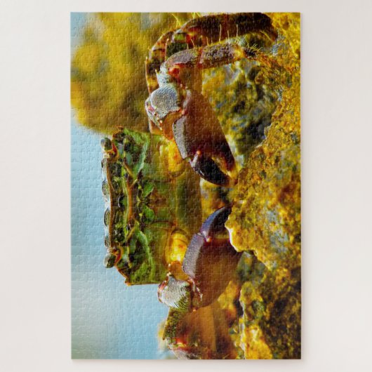 熱帯魚 ジグソーパズル (縦)