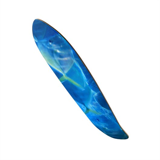 「熱帯魚」スケートボード スケートボード (正面)