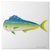 熱帯魚 タイル (正面)