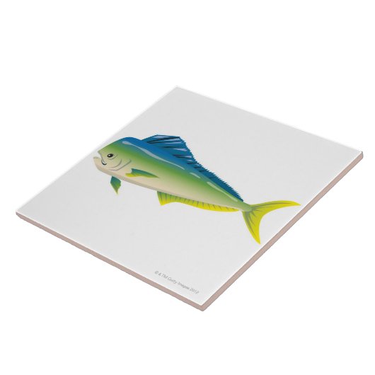 熱帯魚 タイル (側面)