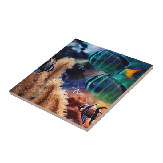 熱帯魚 タイル (側面)