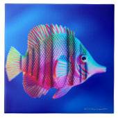 熱帯魚 タイル (正面)