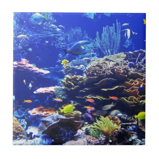 熱帯魚 タイル (正面)