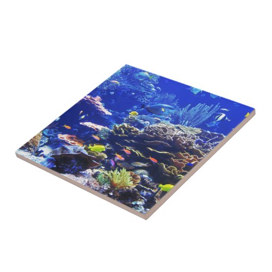 熱帯魚 タイル (側面)