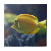 熱帯魚 タイル (正面)