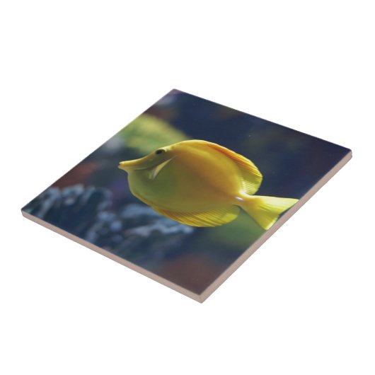 熱帯魚 タイル (側面)