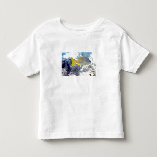 熱帯魚 トドラーTシャツ (正面)