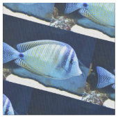 熱帯魚 ファブリック (クローズアップ)