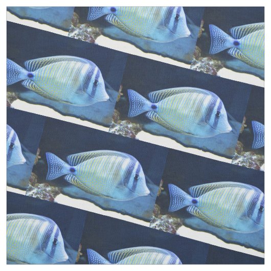 熱帯魚 ファブリック (見本)
