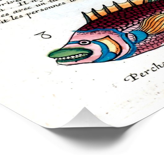 熱帯魚 ポスター (コーナー)