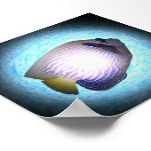 熱帯魚 ポスター (角)