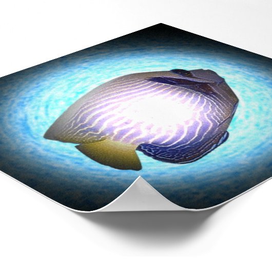 熱帯魚 ポスター (角)