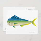 熱帯魚 ポストカード (正面/裏面)