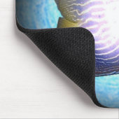 熱帯魚 マウスパッド (コーナー)