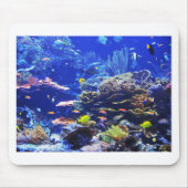熱帯魚 マウスパッド (正面)