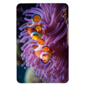 熱帯魚 マグネット (縦)