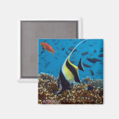 熱帯魚 マグネット (正面/裏面)