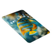 熱帯魚 マグネット (右側)