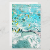 熱帯魚 便箋 (正面/裏面)