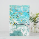 熱帯魚 便箋 (スタンド正面)