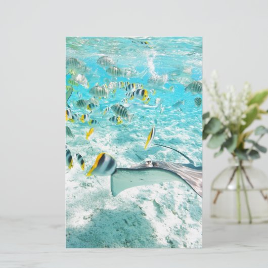 熱帯魚 便箋 (スタンド正面)