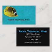 熱帯魚 名刺 (正面/裏面)