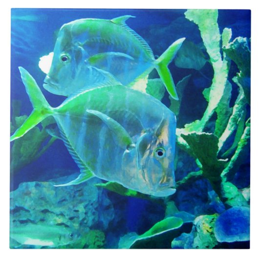 熱帯魚，青，セラミックタイル タイル (正面)