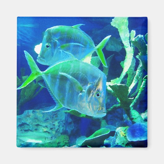 熱帯魚（青） マグネット (正面)