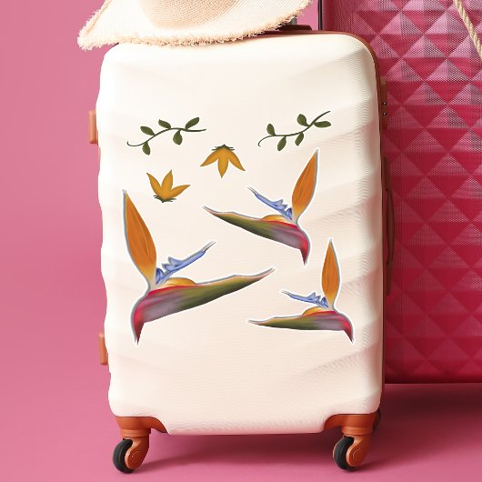 熱帯鮮やか手描き極楽鳥 シール