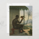 熱帯鳥とブラジルの黒人 ポストカード (正面/裏面)