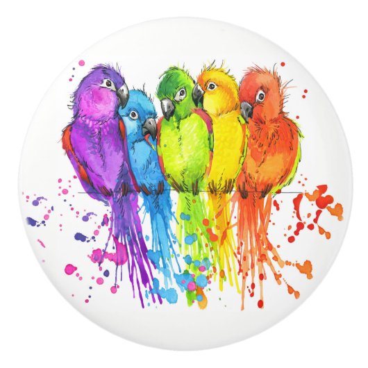 熱帯鳥のセラミックノブ セラミックノブ (正面)