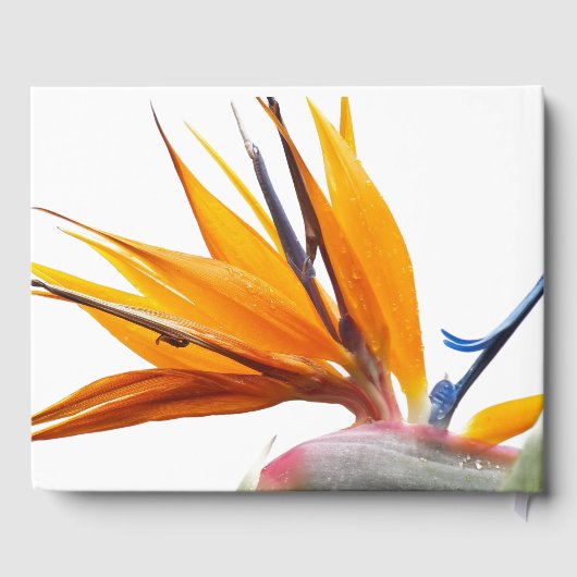 熱帯鳥のパラダイスプラント結婚フローラ ゲストブック (裏面)