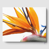 熱帯鳥のパラダイスプラント結婚フローラ ゲストブック (裏面)